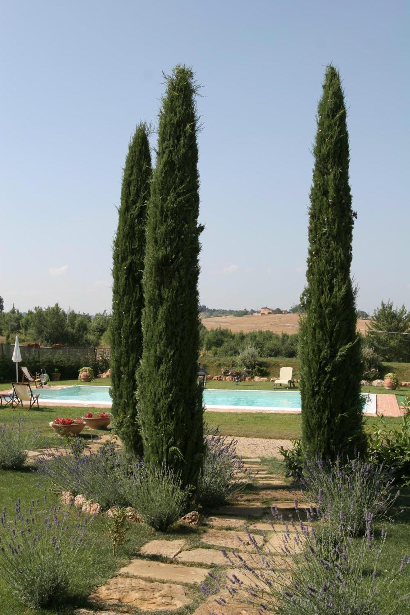 Agriturismo Renaccino Siena Bagian luar foto